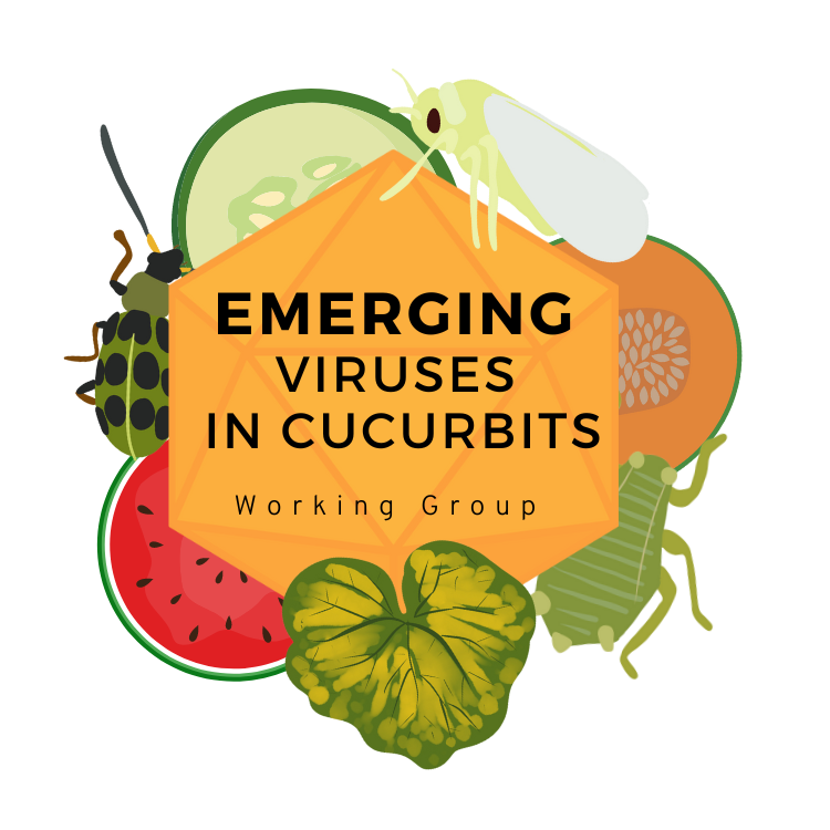 emerging viruses in cucurbit's working group logo